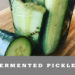 Fermented Dill Pickle Recipe