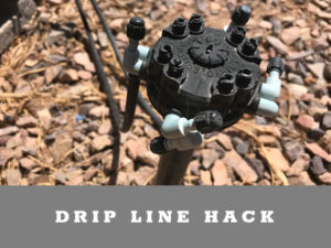 Drip line irrigation hack