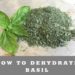 How to dehydrate basil from the garden