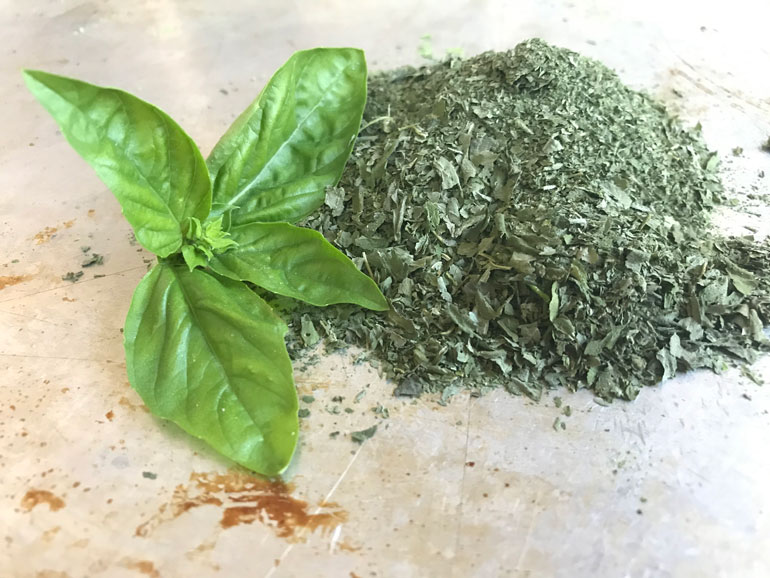 Basil from fresh garden basil to dried herbs
