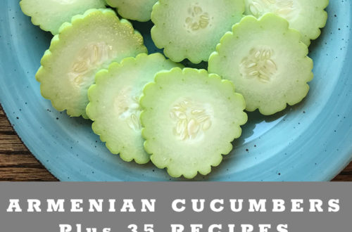 How to grow Armenian Cucumbers plus 35 cucumber recipes
