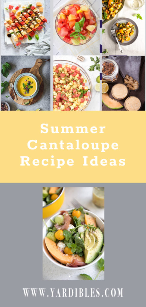 8 tasty cantaloupe recipes