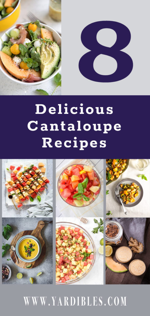 8 Delicious Cantaloupe Recipes