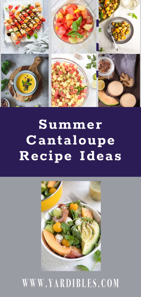 Delicious Summer Cantaloupe Salad Recipes