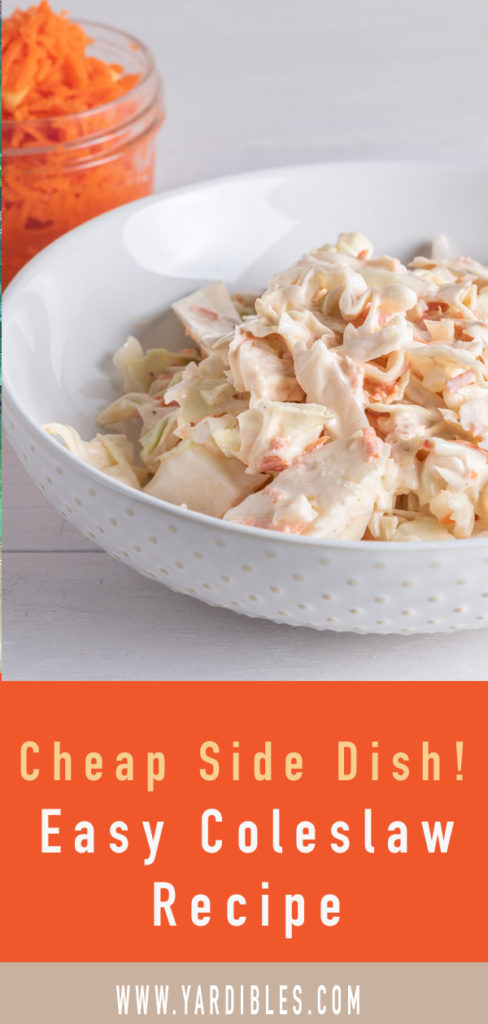 Simple Coleslaw recipe with fermented shredded carrots