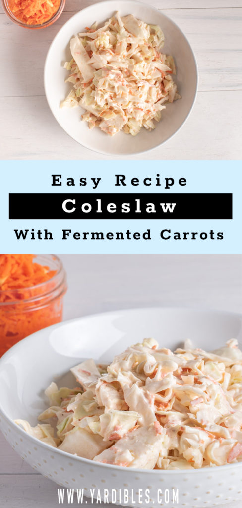 Easy coleslaw recipe for summer bbq or winter snacks.  Includes Probiotic fermented shredded carrots.