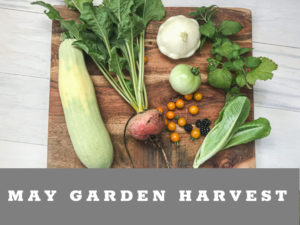 What we harvest in May from the desert garden