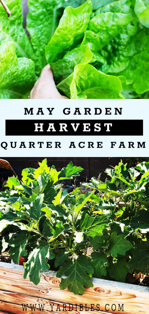 How much can you harvest from a quarter acre garden