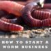 How to Start A Worm Farm