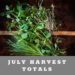 JULY Harvest Totals for a small backyard farm