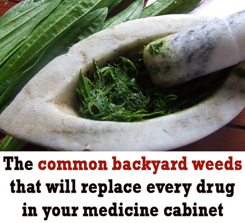 Common backyard Weeds Home Remedies